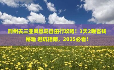 荆州去三亚凤凰岛自由行