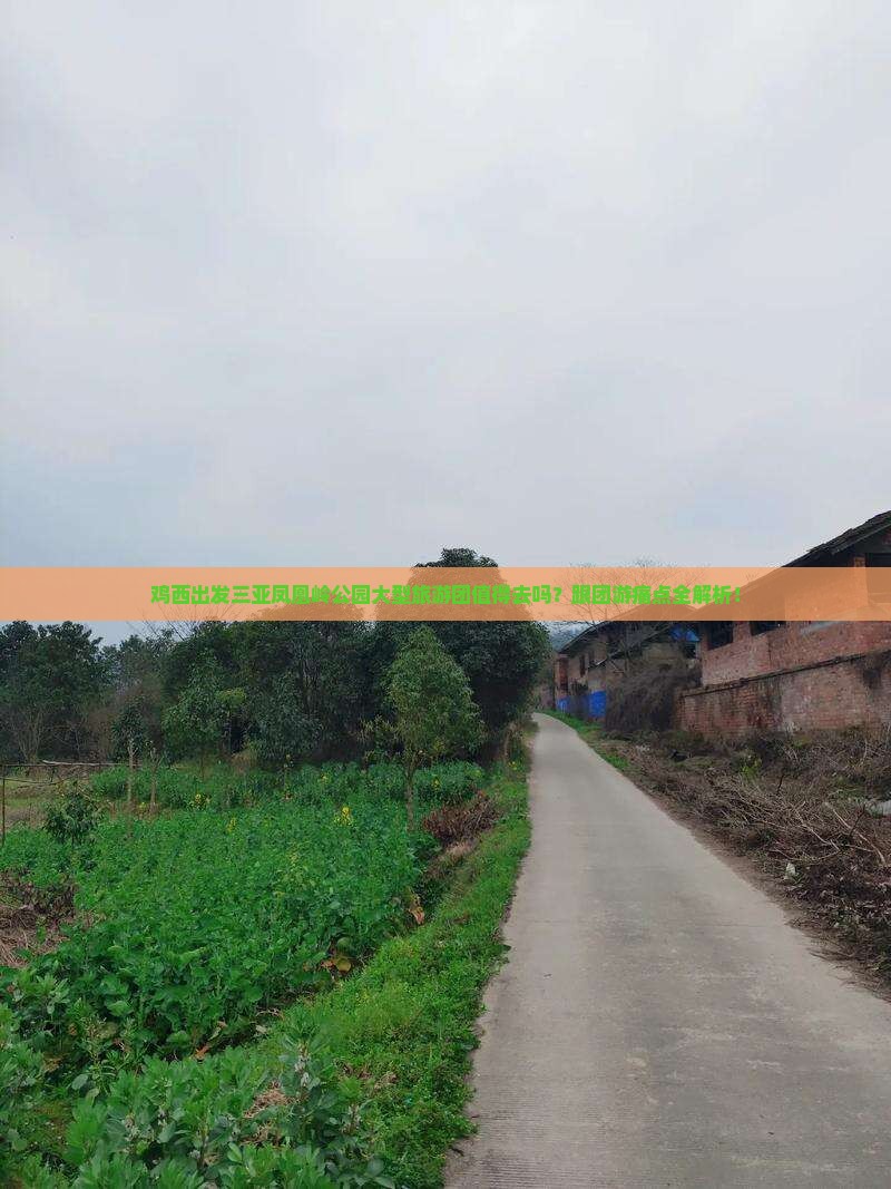 鸡西出发三亚凤凰岭公园大型旅游团