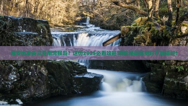 淮安出发三亚南湾猴岛必玩地