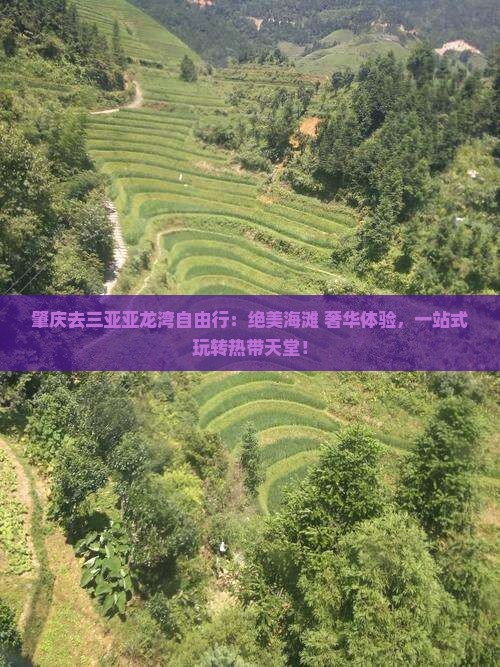 肇庆去三亚亚龙湾自由行