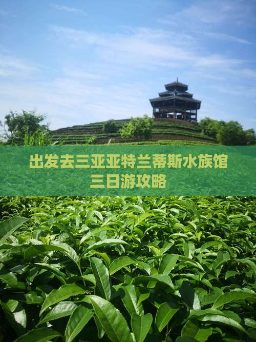 西双版纳去三亚亚特兰蒂斯水族馆三日游
