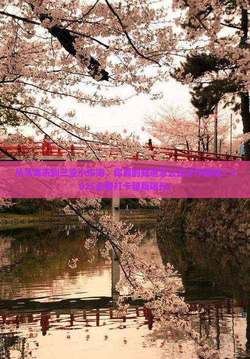 乌海市去三亚小东海旅游打卡点