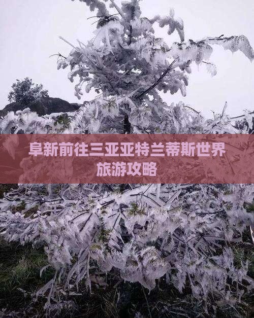 阜新前往三亚亚特兰蒂斯水世界旅游