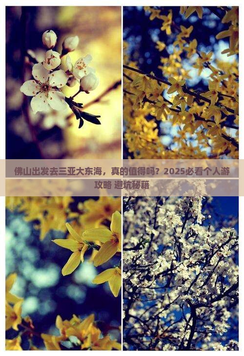 佛山去三亚大东海个人游