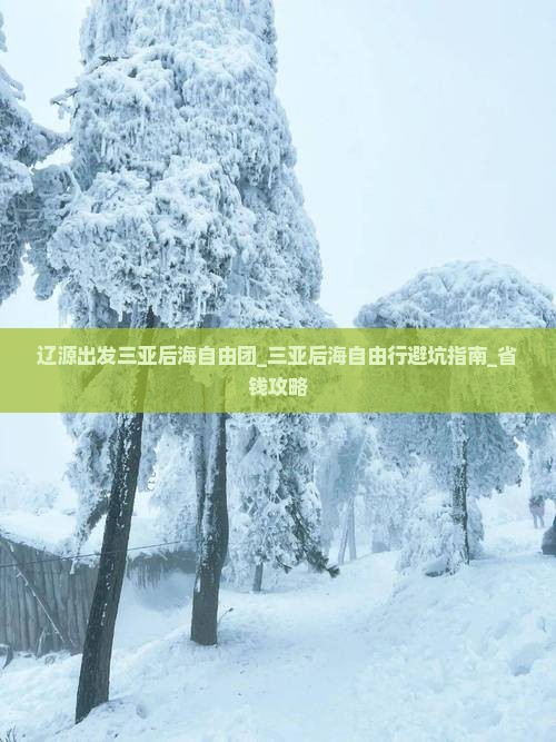 辽源出发三亚后海自由团