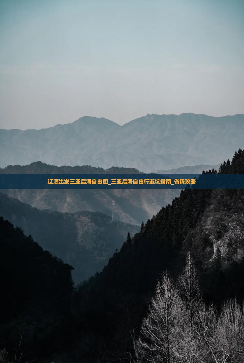 辽源出发三亚后海自由团