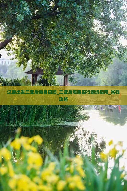 辽源出发三亚后海自由团