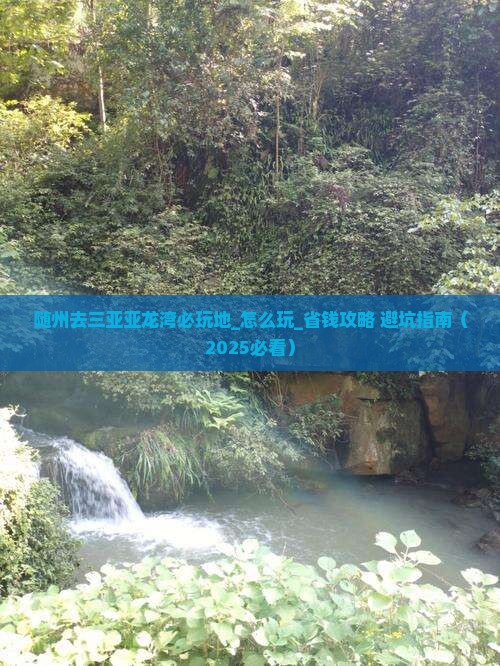 随州去三亚亚龙湾必玩地