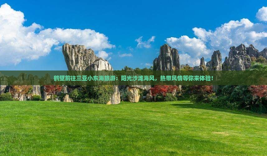 鹤壁前往三亚小东海旅游