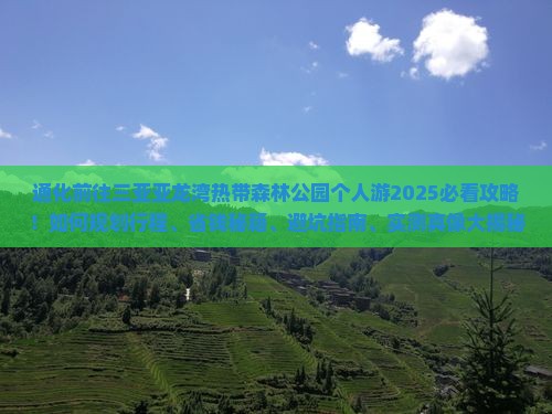 通化前往三亚亚龙湾热带森林公园个人游