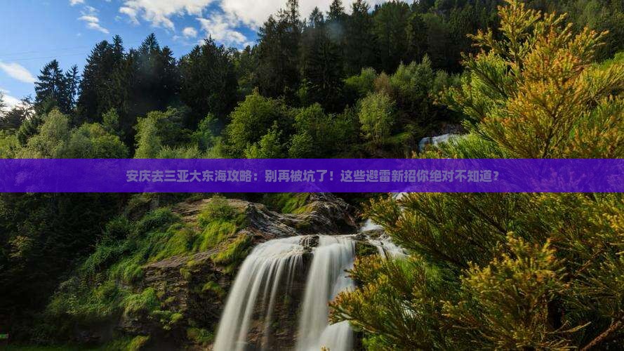 安庆前往三亚大东海攻略