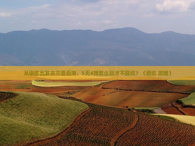 崇左出发三亚后海自由团