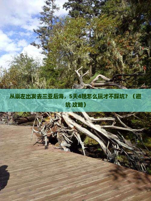 崇左出发三亚后海自由团