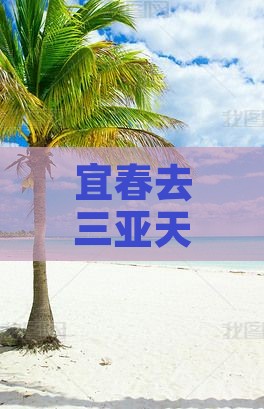 宜春去三亚天涯海角哪里玩
