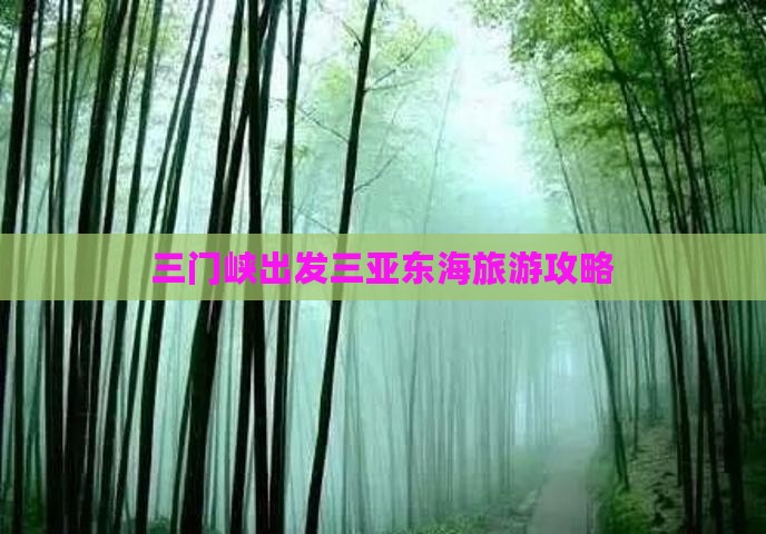 三门峡出发三亚小东海团体旅游
