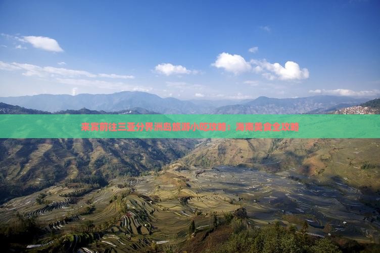 来宾前往三亚分界洲岛旅游小吃