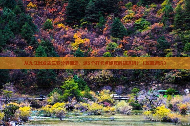 九江前往三亚分界洲岛旅游打卡点
