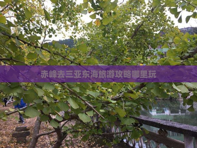 赤峰去三亚小东海哪里玩
