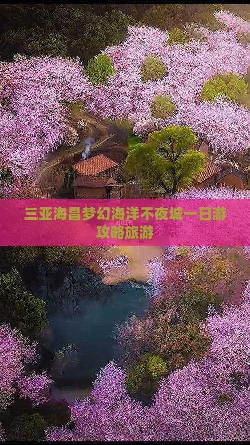 德州去三亚海昌梦幻海洋不夜城一日游