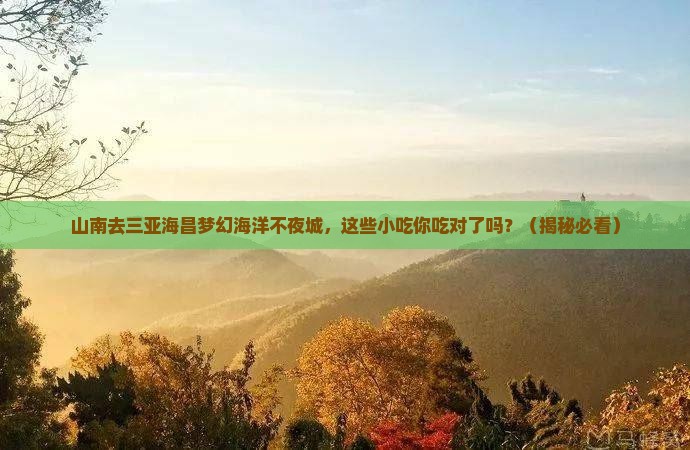 山南去三亚海昌梦幻海洋不夜城旅游小吃