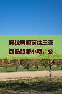 阿拉善盟前往三亚西岛旅游小吃