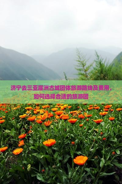 济宁去三亚崖洲古城团体旅游
