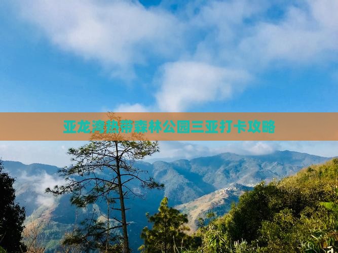 汕尾去三亚亚龙湾热带森林公园旅游打卡点 汕尾去三亚亚龙湾热带森林公园旅游打卡点
