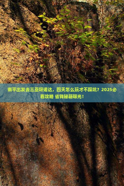 南平前往三亚呀诺达景区四日游