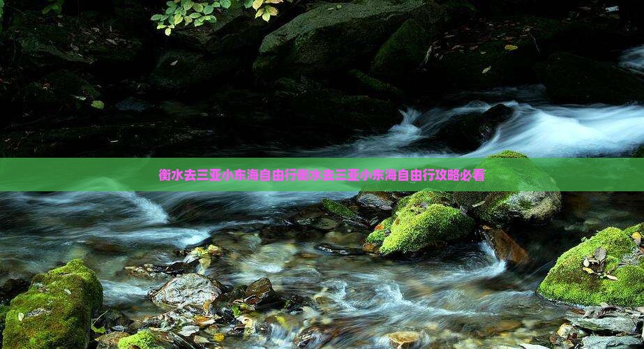 衡水去三亚小东海自由行