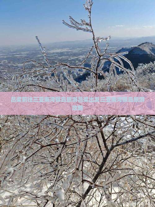 吕梁前往三亚南湾猴岛旅游