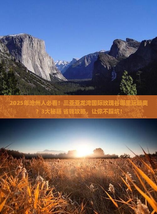 沧州前往三亚亚龙湾国际玫瑰谷哪里玩