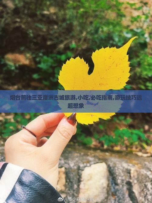 烟台前往三亚崖洲古城旅游小吃