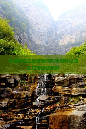 长春前往三亚亚龙湾热带森林公园三日游
