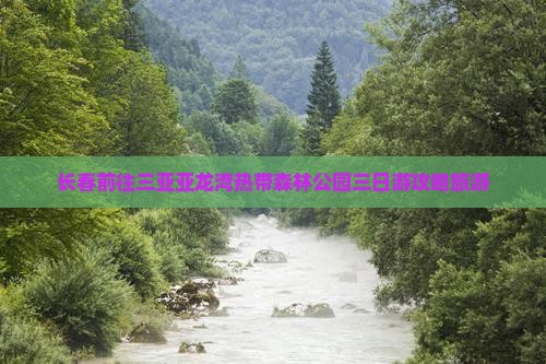 长春前往三亚亚龙湾热带森林公园三日游