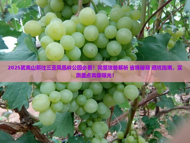 武夷山前往三亚凤凰岭公园旅游打卡点