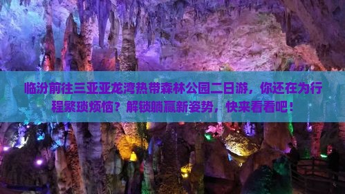 临汾前往三亚亚龙湾热带森林公园二日游 临汾前往三亚亚龙湾热带森林公园二日游