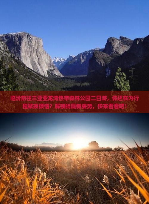 临汾前往三亚亚龙湾热带森林公园二日游 临汾前往三亚亚龙湾热带森林公园二日游