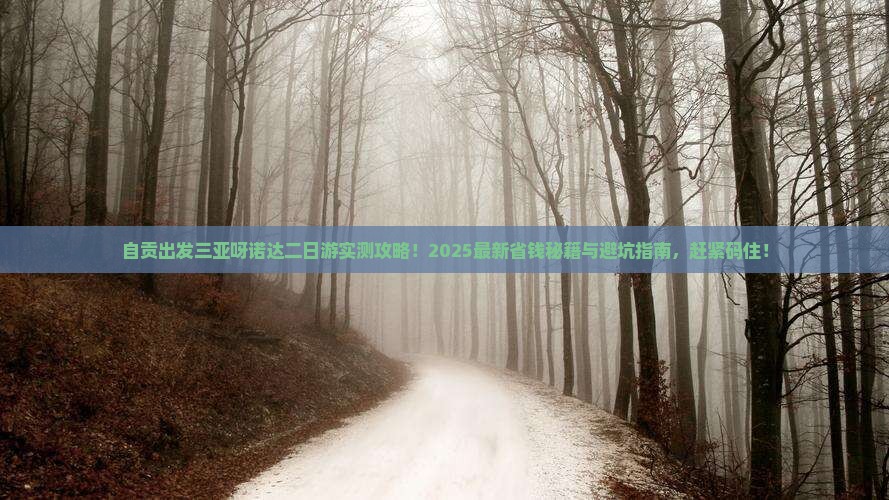 自贡出发三亚呀诺达景区二日游