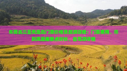 东莞去三亚凤凰岛门票