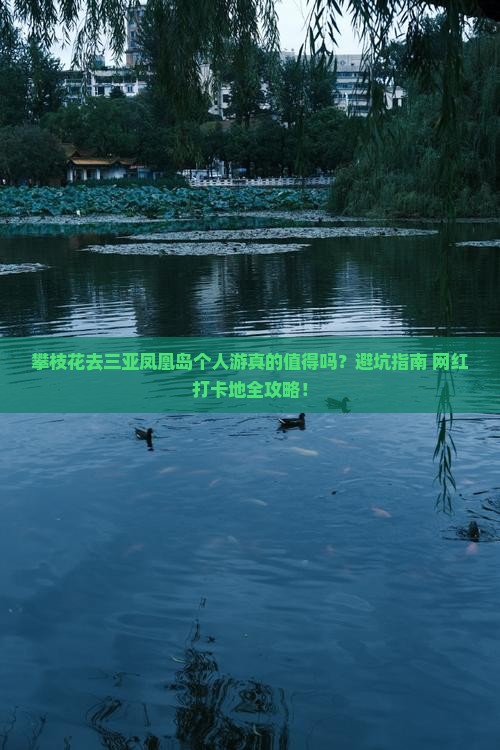 攀枝花前往三亚凤凰岛个人游
