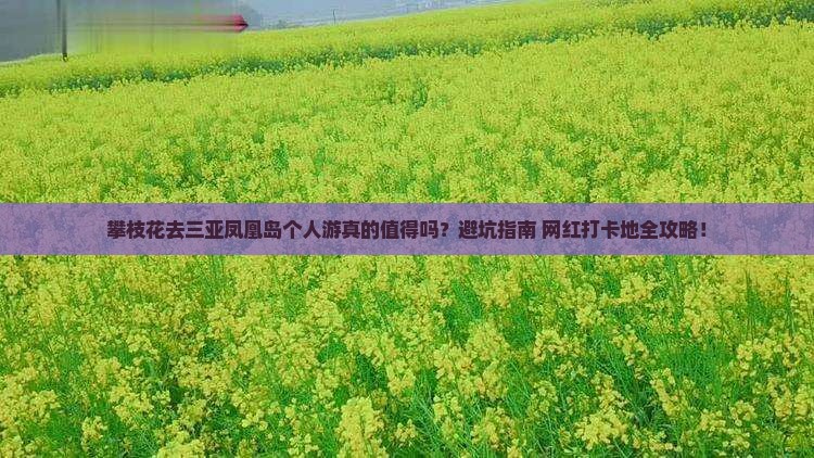 攀枝花前往三亚凤凰岛个人游