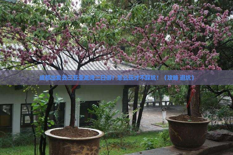 成都去三亚亚龙湾二日游
