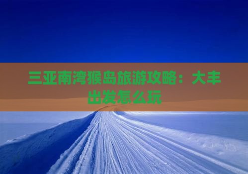 大丰去三亚南湾猴岛哪里玩