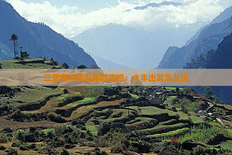 大丰去三亚南湾猴岛哪里玩