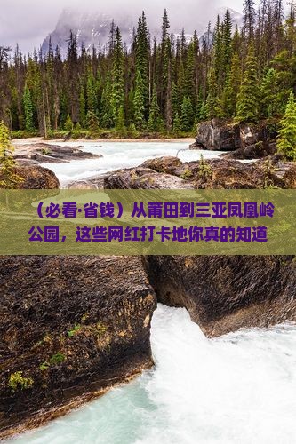 莆田出发三亚凤凰岭公园旅游网红地点