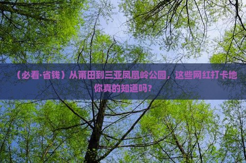 莆田出发三亚凤凰岭公园旅游网红地点