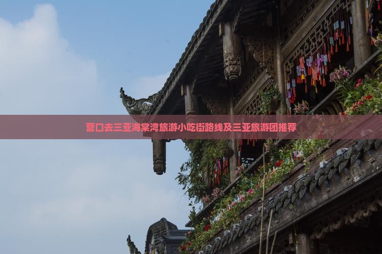 营口去三亚海棠湾旅游小吃 营口去三亚海棠湾旅游小吃
