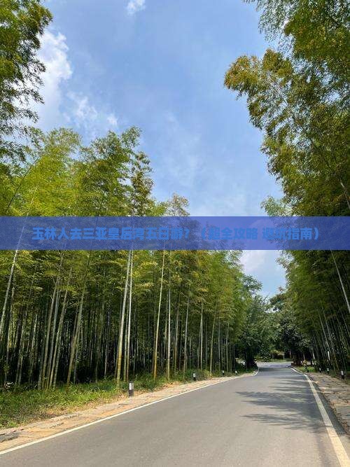 玉林前往三亚皇后湾五日游