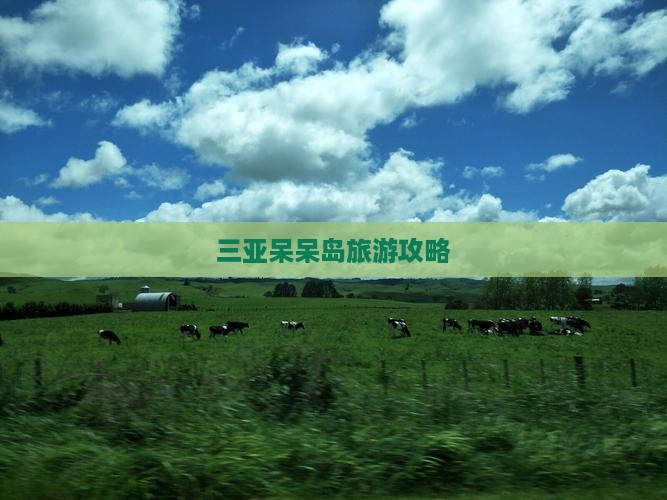 绵阳去三亚呆呆岛攻略