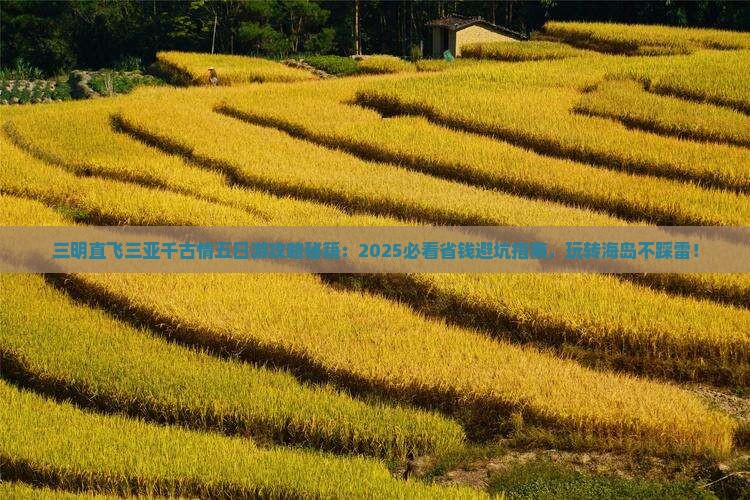 三明去三亚千古情五日游